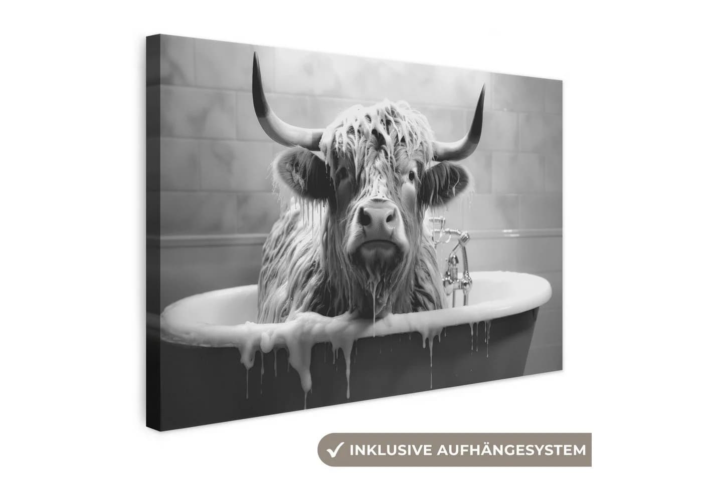 OneMillionCanvasses® Leinwandbild Schottischer Highlander Schwarz-Weiß - Bild 2