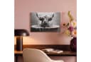 OneMillionCanvasses® Leinwandbild Schottischer Highlander Schwarz-Weiß Bild 4
