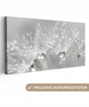 OneMillionCanvasses® Leinwandbild Panorama Löwenzahn - Wassertropfen - Stilleben Bild 2