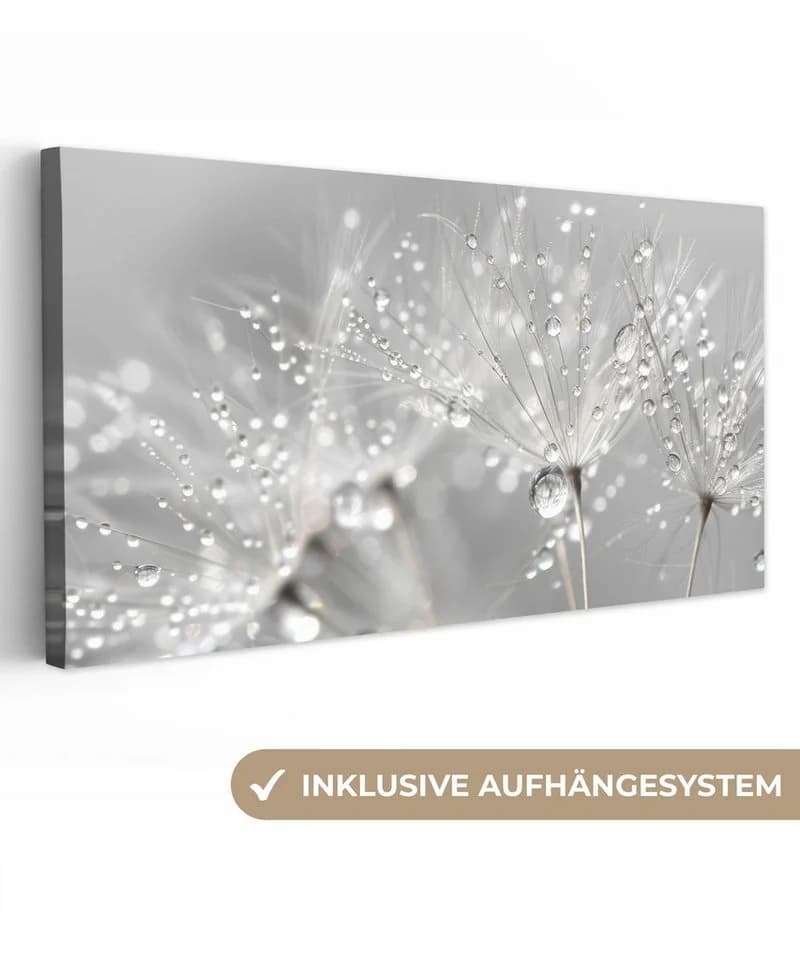 OneMillionCanvasses® Leinwandbild Panorama Löwenzahn - Wassertropfen - Stilleben - Bild 2