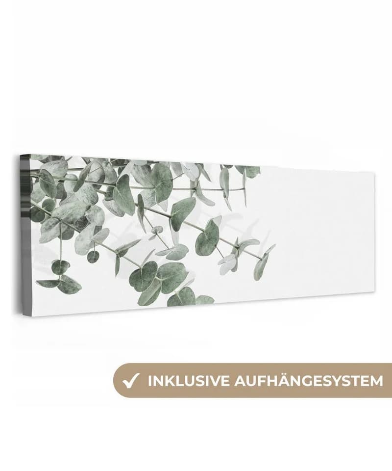 OneMillionCanvasses® Leinwandbild Panorama Eukalyptus Grün - Bild 2