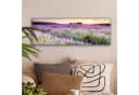 OneMillionCanvasses® Leinwandbild Panorama Lavendel Blumen Sonnenuntergang Bild 1