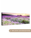 OneMillionCanvasses® Leinwandbild Panorama Lavendel Blumen Sonnenuntergang Bild 2