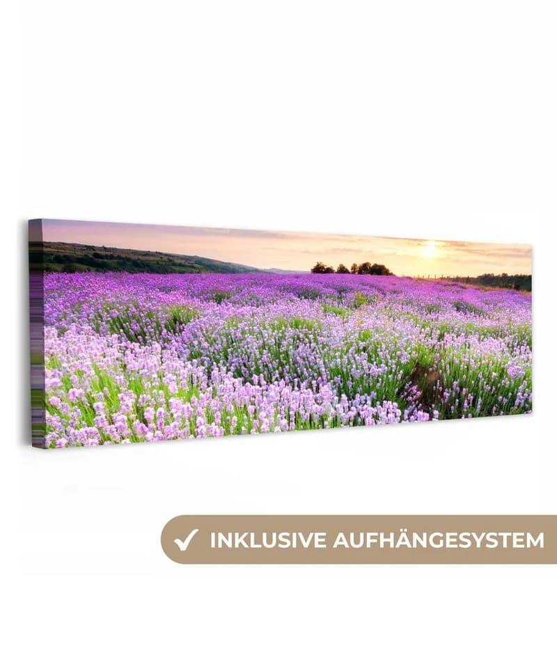 OneMillionCanvasses® Leinwandbild Panorama Lavendel Blumen Sonnenuntergang - Bild 2