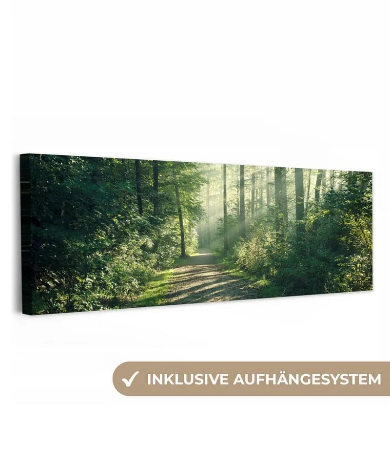 OneMillionCanvasses® Leinwandbild Panorama Wald - Weg - Sonne - Bäume - Grün - Natur - Bild 2