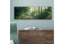 OneMillionCanvasses® Leinwandbild Panorama Wald - Weg - Sonne - Bäume - Grün - Natur Bild 5