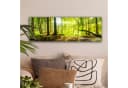 OneMillionCanvasses® Leinwandbild Panorama Wald Grün Bild 1