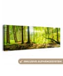 OneMillionCanvasses® Leinwandbild Panorama Wald Grün Bild 2