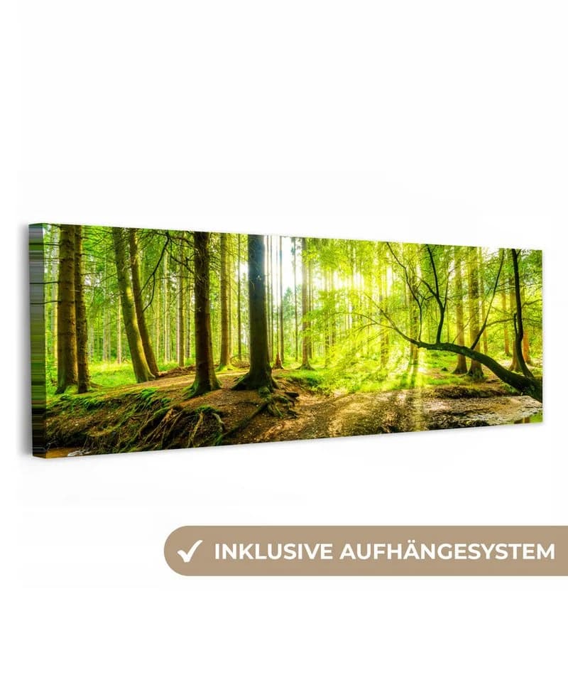 OneMillionCanvasses® Leinwandbild Panorama Wald Grün - Bild 2