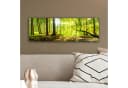 OneMillionCanvasses® Leinwandbild Panorama Wald Grün Bild 4