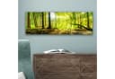 OneMillionCanvasses® Leinwandbild Panorama Wald Grün Bild 5