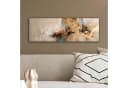 OneMillionCanvasses® Leinwandbild Panorama Modern Braun Beige Abstrakt Fotodruck Wandbild Bild 4