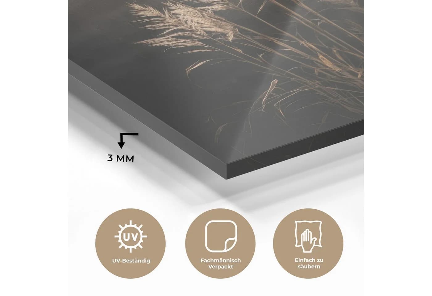 MuchoWow Acrylglasbild Ziergras Schwarz mit Aufhängung - Bild 3
