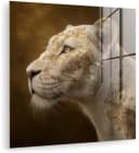 MuchoWow Acrylglasbild Löwin Weiß Gold mit Aufhängung Bild 2