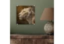 MuchoWow Acrylglasbild Löwin Weiß Gold mit Aufhängung Bild 4