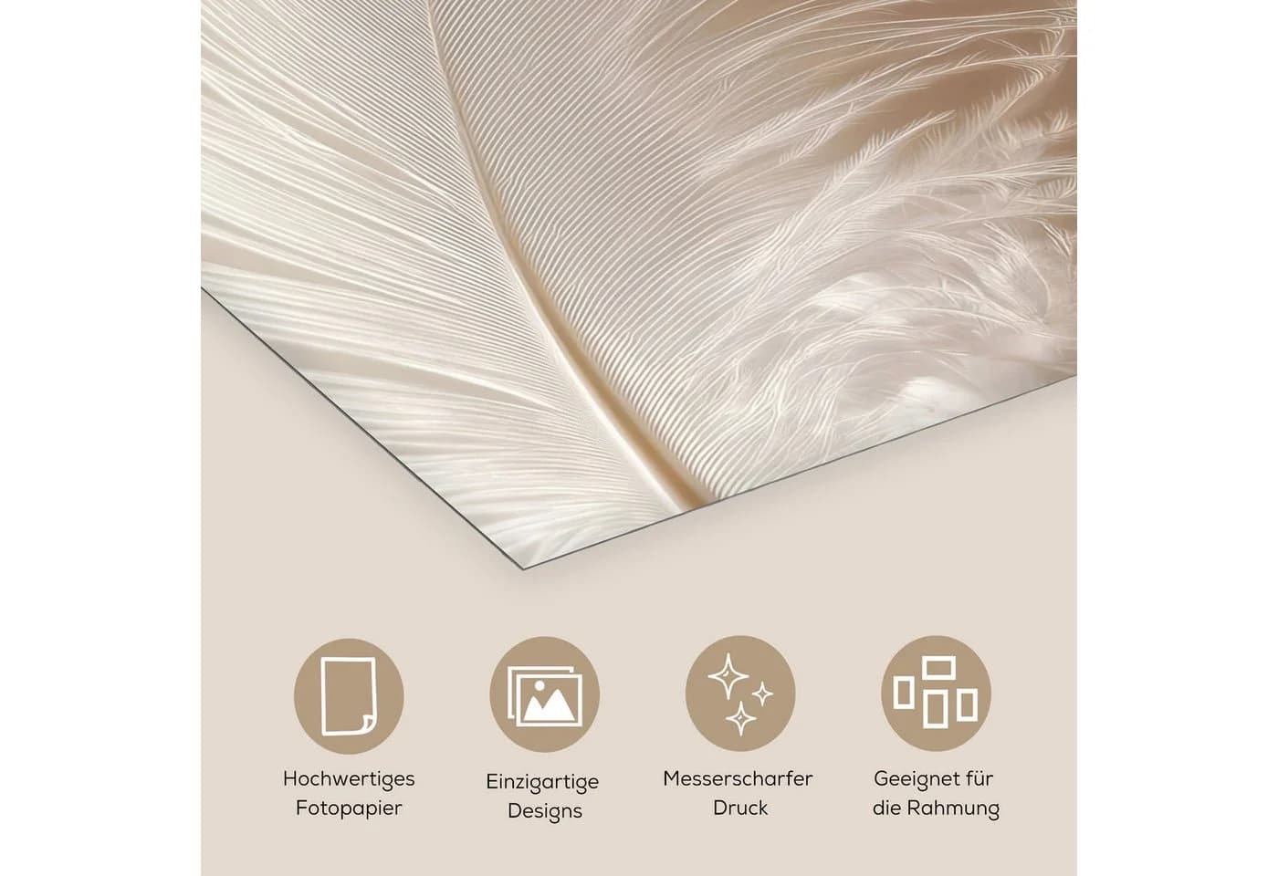 MuchoWow Poster Feder Minimalistisch Rosa Weiß 20x30 cm - Bild 3