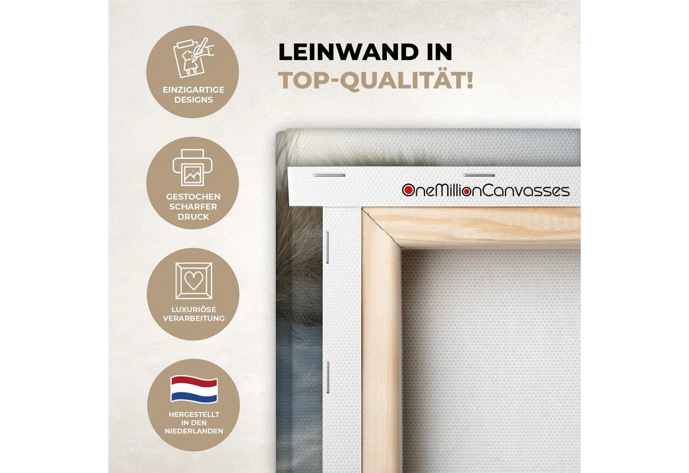 OneMillionCanvasses® Leinwandbild Pfad - Regale - Dünen - Gras, Fotodruck 30x20 cm - Bild 3