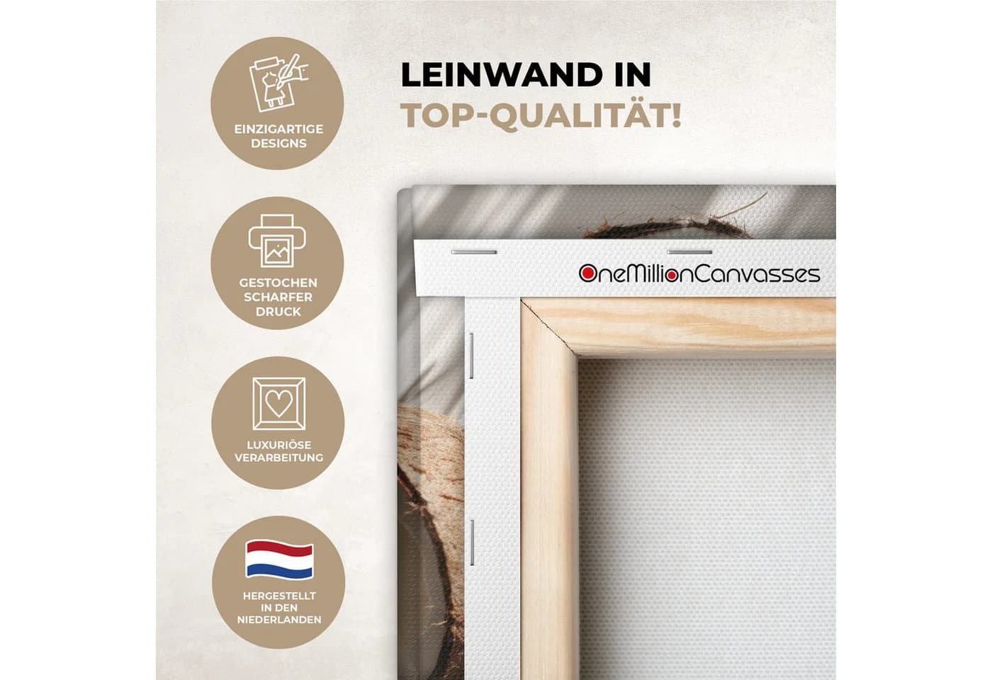 OneMillionCanvasses® Leinwandbild Kokosnüsse Braun Weiß - Bild 3