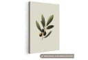 OneMillionCanvasses® Leinwandbild Olivenzweig Grün Schwarz 20x30 cm Bild 2