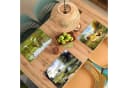 MuchoWow Platzset Nature's Charm - Ländlich - Tiere, 6-Stück, Tischset, Abwaschbar, Platzdeckchen Bild 1