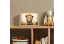 OnlyWow Nachttischlampe Lightbox Löwe Dimmbar LED Holzrahmen Bild 4