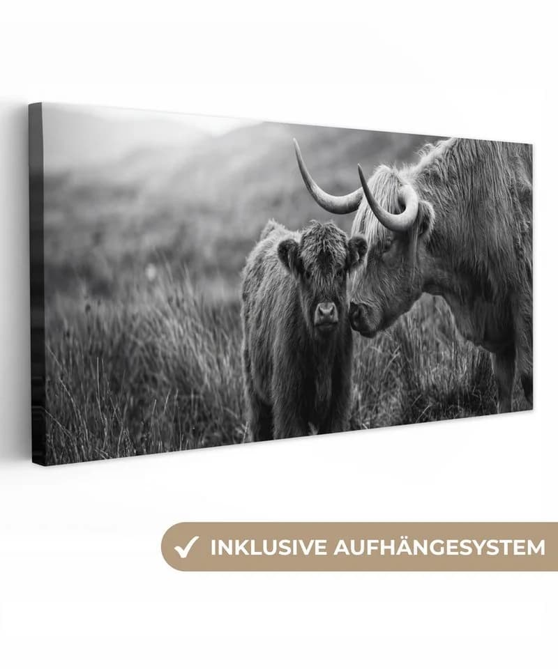 OneMillionCanvasses Leinwandbild Panorama Schottischer Highlander Schwarz-Weiß - Bild 2