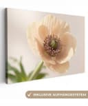 OneMillionCanvasses® Leinwandbild Blume Minimalistisch Grün 30x20 cm Bild 2