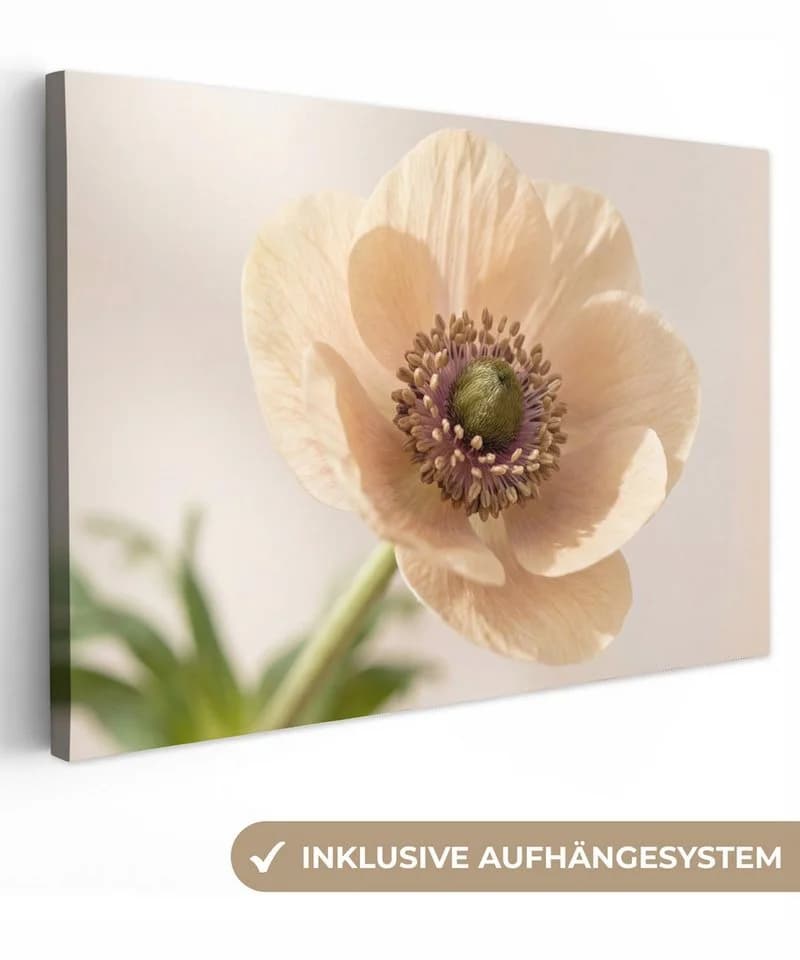 OneMillionCanvasses® Leinwandbild Blume Minimalistisch Grün 30x20 cm - Bild 2