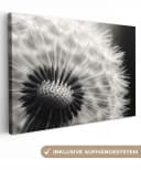 OneMillionCanvasses® Leinwandbild Pusteblume Schwarz-Weiß Bild 2