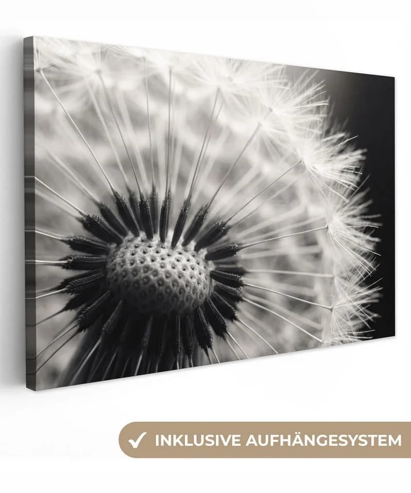OneMillionCanvasses® Leinwandbild Pusteblume Schwarz-Weiß - Bild 2