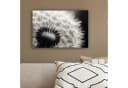 OneMillionCanvasses® Leinwandbild Pusteblume Schwarz-Weiß Bild 4