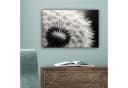 OneMillionCanvasses® Leinwandbild Pusteblume Schwarz-Weiß Bild 5
