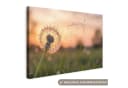 OneMillionCanvasses® Leinwandbild Löwenzahn Sonnenuntergang 30x20 cm Bild 2