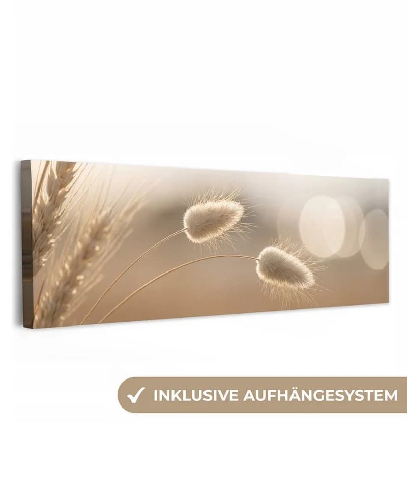 OneMillionCanvasses® Leinwandbild Panorama Dunstschwanzgras 60x20 cm - Bild 2