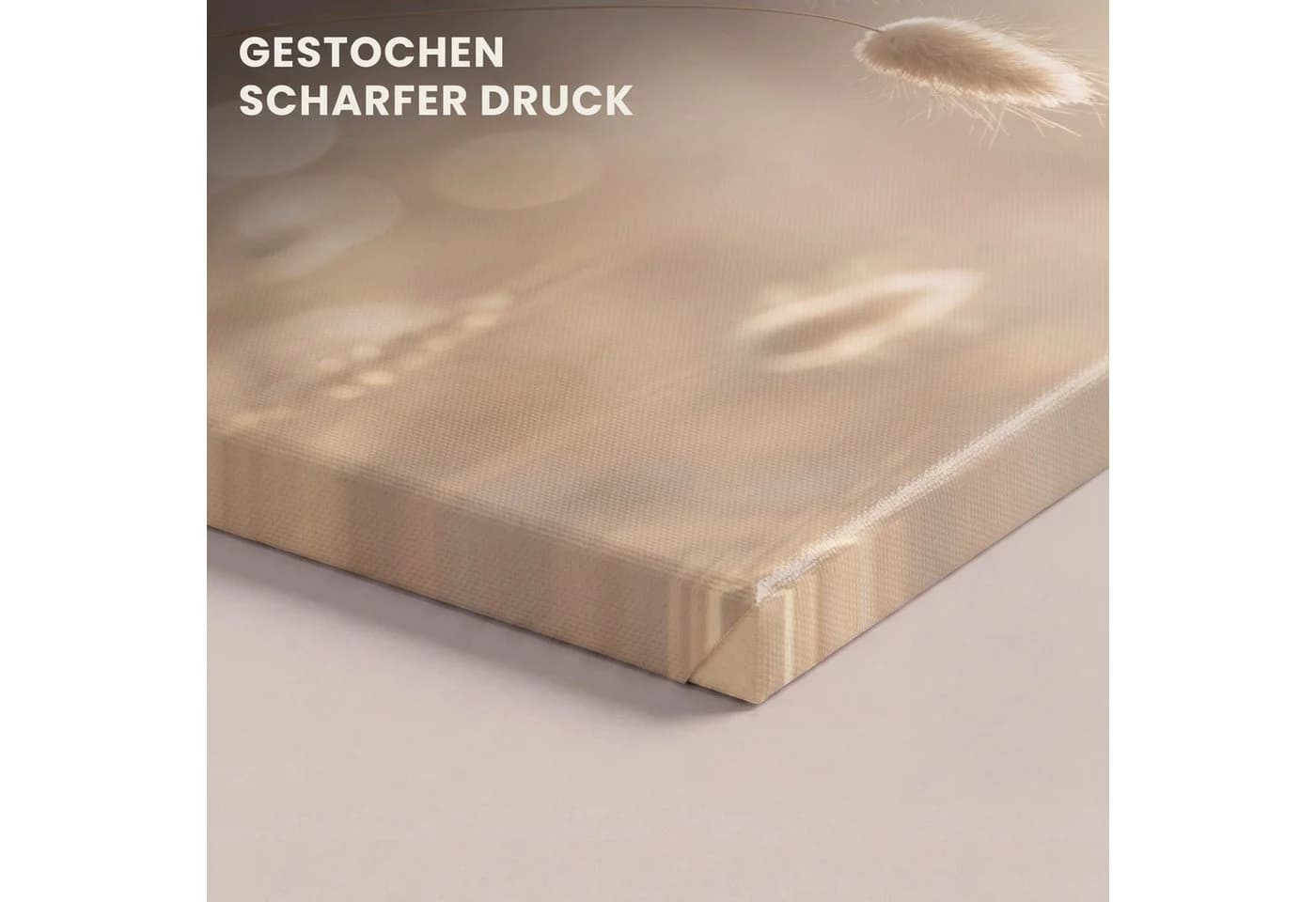 OneMillionCanvasses® Leinwandbild Dunstschwanzgras Beige/Weiß - Bild 3