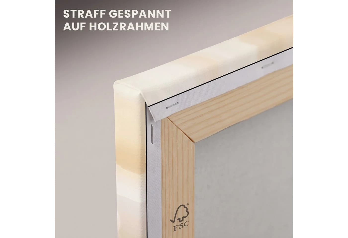OneMillionCanvasses® Leinwandbild Dunstschwanzgras Beige/Weiß - Bild 5