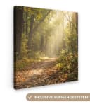 OneMillionCanvasses® Leinwandbild Waldweg mit Sonnenlicht Bild 2