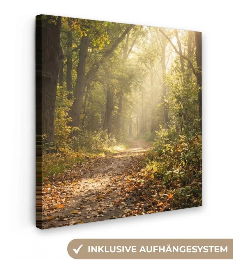 OneMillionCanvasses® Leinwandbild Waldweg mit Sonnenlicht - Bild 2