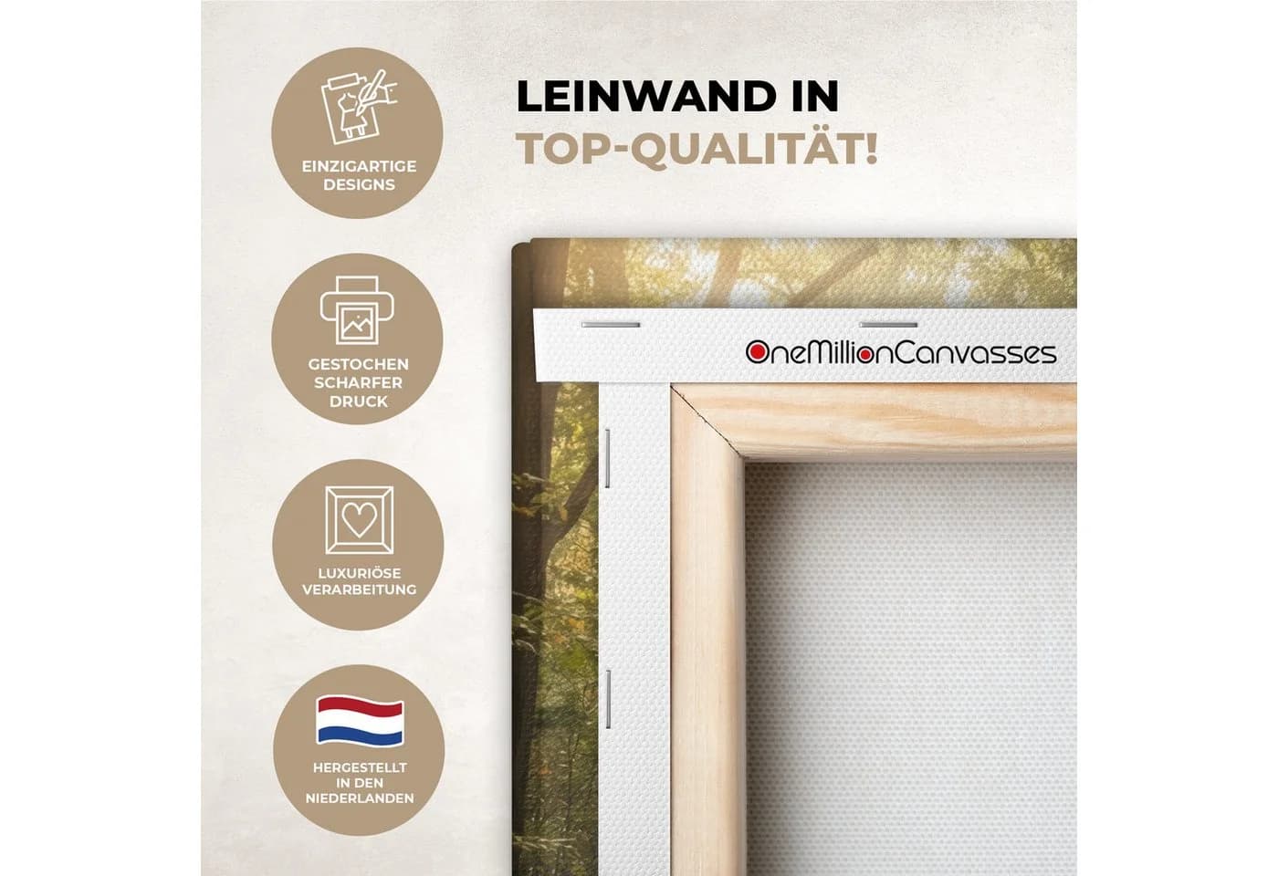 OneMillionCanvasses® Leinwandbild Waldweg mit Sonnenlicht - Bild 3