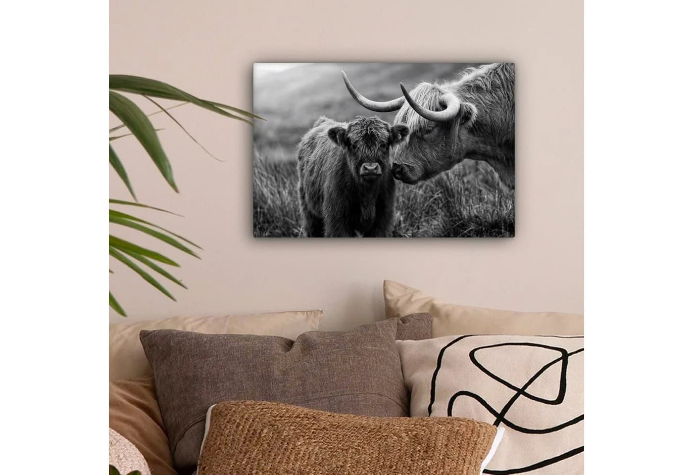 OneMillionCanvasses® Leinwandbild Schottischer Highlander Schwarz-Weiß