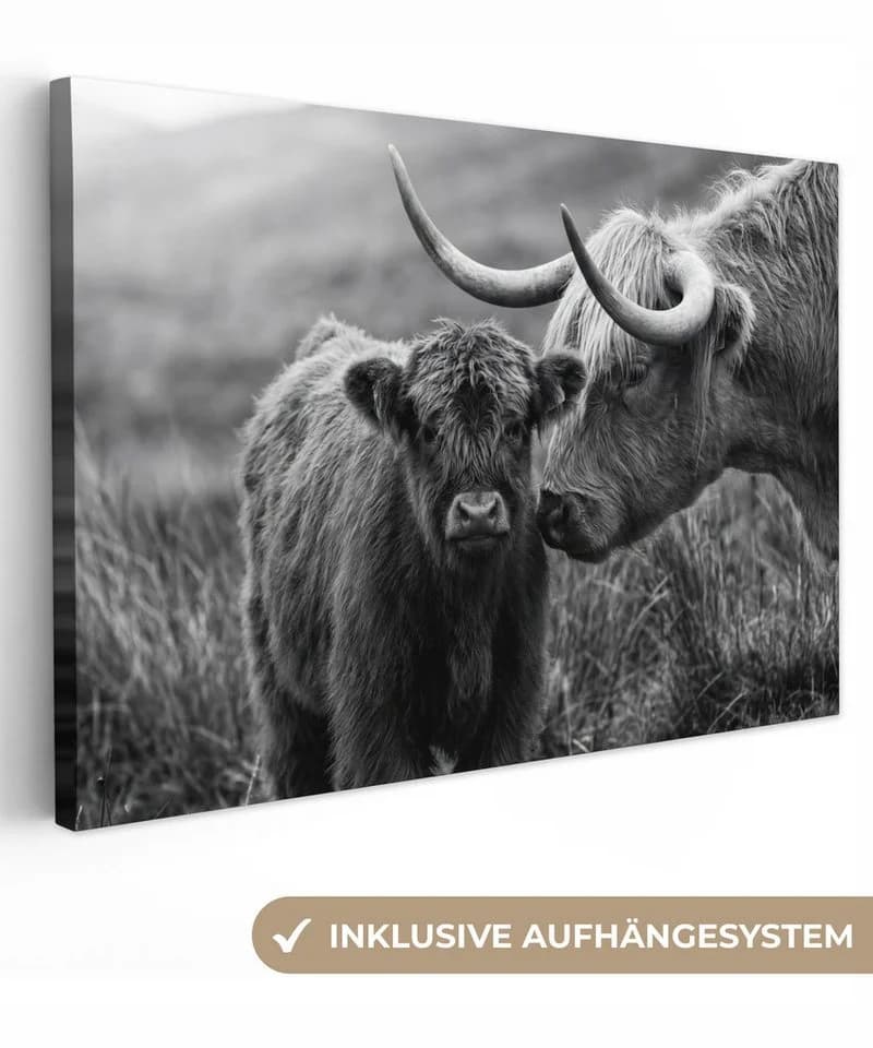 OneMillionCanvasses® Leinwandbild Schottischer Highlander Schwarz-Weiß - Bild 2