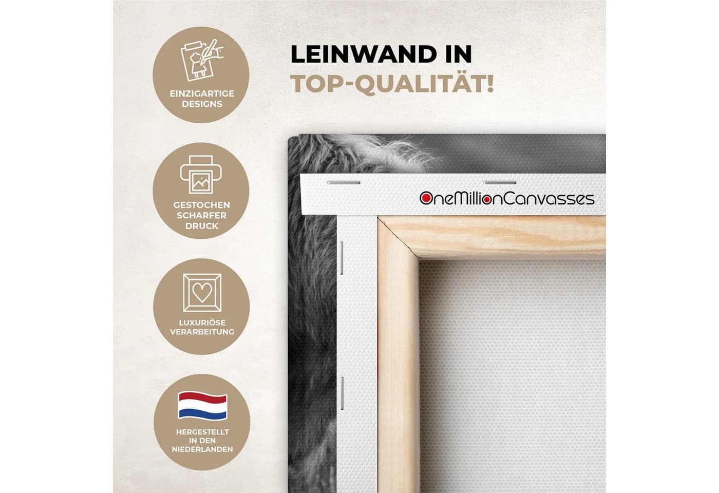 OneMillionCanvasses® Leinwandbild Schottischer Highlander Schwarz-Weiß - Bild 3