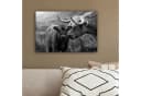 OneMillionCanvasses® Leinwandbild Schottischer Highlander Schwarz-Weiß Bild 4