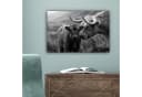 OneMillionCanvasses® Leinwandbild Schottischer Highlander Schwarz-Weiß Bild 5
