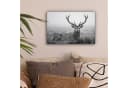 OneMillionCanvasses® Leinwandbild Hirsch Schwarz-Weiß Bild 1