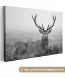 OneMillionCanvasses® Leinwandbild Hirsch Schwarz-Weiß Bild 2