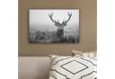 OneMillionCanvasses® Leinwandbild Hirsch Schwarz-Weiß Bild 4