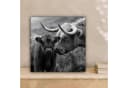 OneMillionCanvasses® Leinwandbild Schottischer Highlander & Kalb Schwarz-Weiß Bild 1