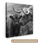 OneMillionCanvasses® Leinwandbild Schottischer Highlander & Kalb Schwarz-Weiß Bild 2