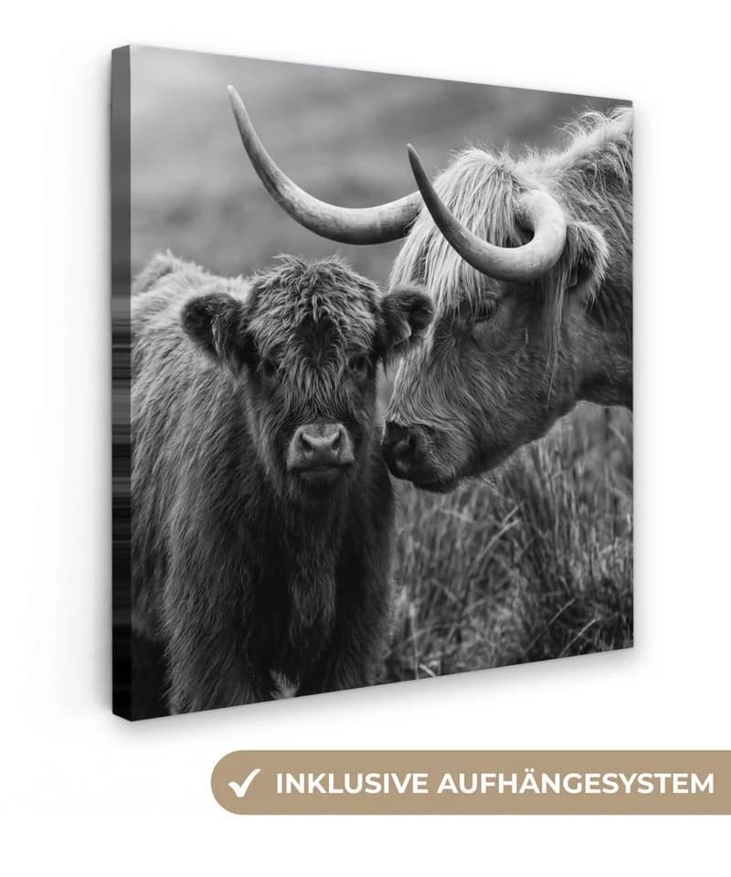OneMillionCanvasses® Leinwandbild Schottischer Highlander & Kalb Schwarz-Weiß - Bild 2